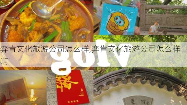 弈肯文化旅游公司怎么样,弈肯文化旅游公司怎么样啊-第3张图片-奥莱旅游网