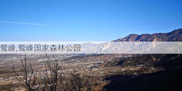 鹫峰,鹫峰国家森林公园-第2张图片-奥莱旅游网