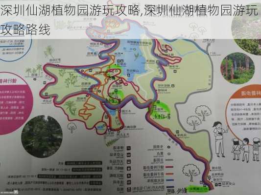 深圳仙湖植物园游玩攻略,深圳仙湖植物园游玩攻略路线-第2张图片-奥莱旅游网