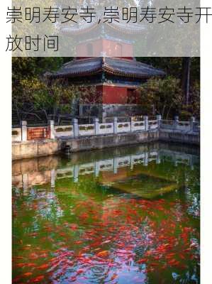 崇明寿安寺,崇明寿安寺开放时间