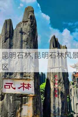 昆明石林,昆明石林风景区-第1张图片-奥莱旅游网