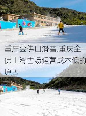 重庆金佛山滑雪,重庆金佛山滑雪场运营成本低的原因-第1张图片-奥莱旅游网