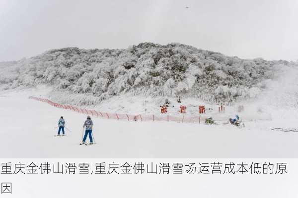 重庆金佛山滑雪,重庆金佛山滑雪场运营成本低的原因-第2张图片-奥莱旅游网