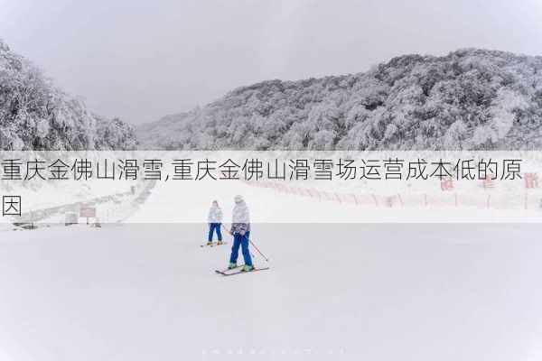 重庆金佛山滑雪,重庆金佛山滑雪场运营成本低的原因-第3张图片-奥莱旅游网