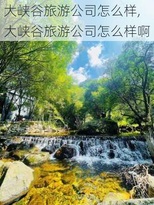 大峡谷旅游公司怎么样,大峡谷旅游公司怎么样啊-第2张图片-奥莱旅游网