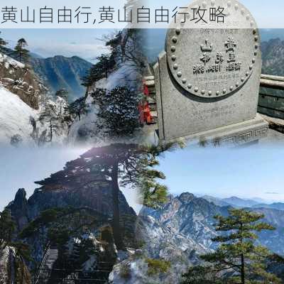 黄山自由行,黄山自由行攻略-第3张图片-奥莱旅游网