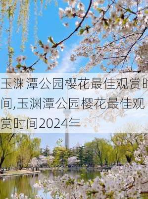 玉渊潭公园樱花最佳观赏时间,玉渊潭公园樱花最佳观赏时间2024年-第3张图片-奥莱旅游网