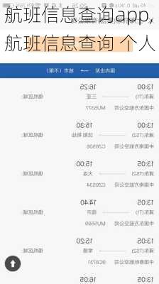 航班信息查询app,航班信息查询 个人-第2张图片-奥莱旅游网