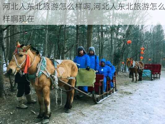 河北人东北旅游怎么样啊,河北人东北旅游怎么样啊现在-第2张图片-奥莱旅游网