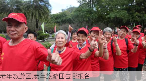 老年旅游团,老年旅游团去哪报名-第1张图片-奥莱旅游网