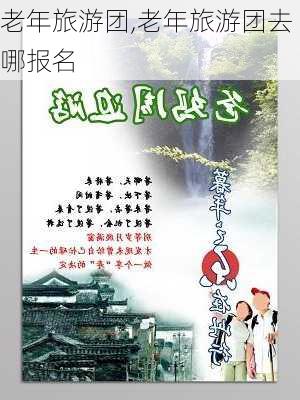 老年旅游团,老年旅游团去哪报名-第3张图片-奥莱旅游网