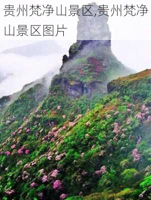 贵州梵净山景区,贵州梵净山景区图片-第3张图片-奥莱旅游网