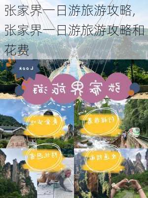 张家界一日游旅游攻略,张家界一日游旅游攻略和花费-第2张图片-奥莱旅游网