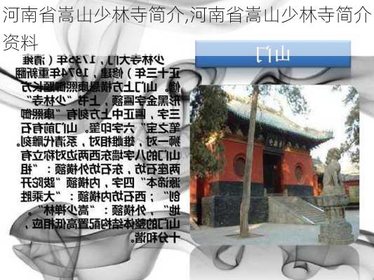 河南省嵩山少林寺简介,河南省嵩山少林寺简介资料-第3张图片-奥莱旅游网