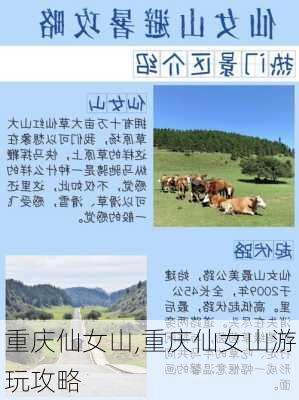 重庆仙女山,重庆仙女山游玩攻略-第1张图片-奥莱旅游网