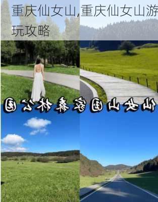 重庆仙女山,重庆仙女山游玩攻略-第3张图片-奥莱旅游网