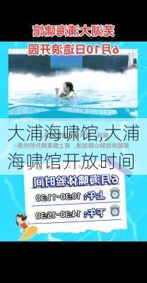 大浦海啸馆,大浦海啸馆开放时间-第2张图片-奥莱旅游网