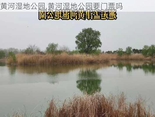 黄河湿地公园,黄河湿地公园要门票吗-第2张图片-奥莱旅游网