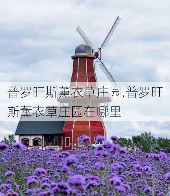 普罗旺斯薰衣草庄园,普罗旺斯薰衣草庄园在哪里-第1张图片-奥莱旅游网