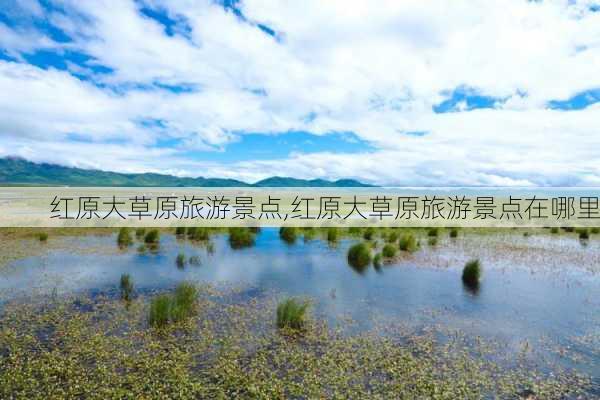 红原大草原旅游景点,红原大草原旅游景点在哪里-第1张图片-奥莱旅游网