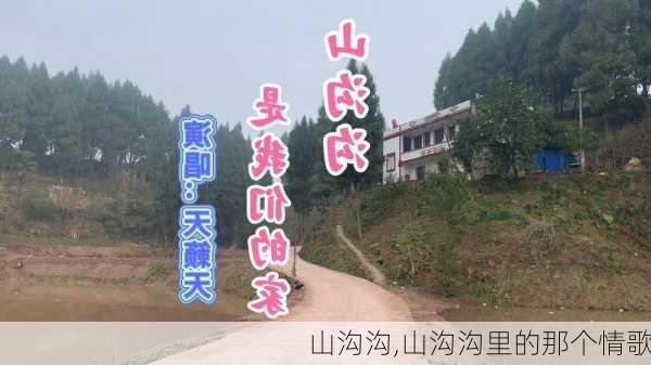 山沟沟,山沟沟里的那个情歌