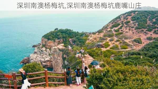 深圳南澳杨梅坑,深圳南澳杨梅坑鹿嘴山庄-第3张图片-奥莱旅游网