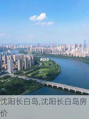 沈阳长白岛,沈阳长白岛房价-第2张图片-奥莱旅游网