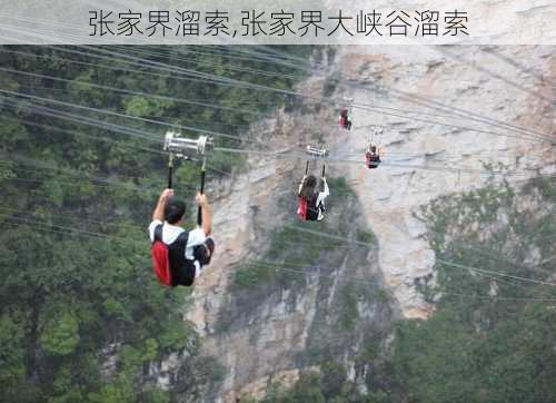 张家界溜索,张家界大峡谷溜索-第2张图片-奥莱旅游网