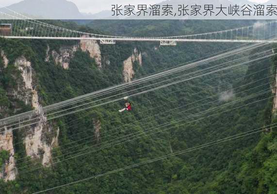 张家界溜索,张家界大峡谷溜索-第3张图片-奥莱旅游网