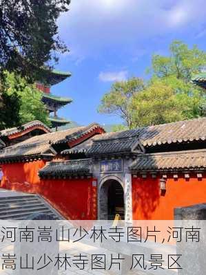 河南嵩山少林寺图片,河南嵩山少林寺图片 风景区-第3张图片-奥莱旅游网