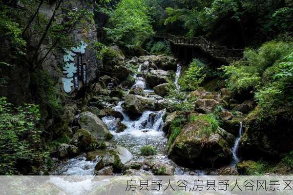 房县野人谷,房县野人谷风景区-第1张图片-奥莱旅游网