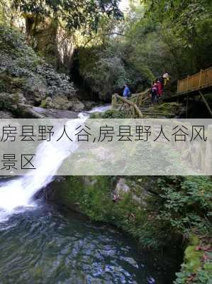 房县野人谷,房县野人谷风景区-第3张图片-奥莱旅游网