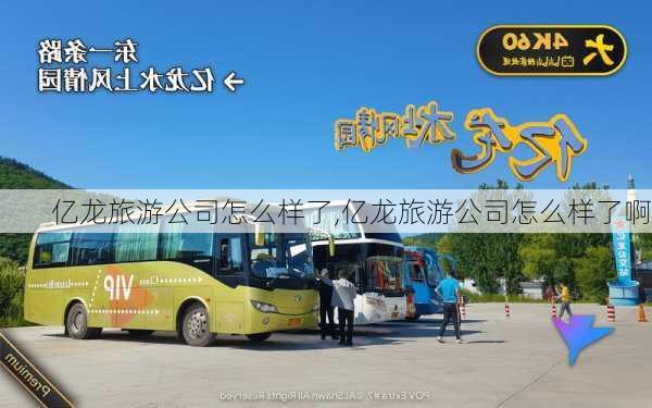 亿龙旅游公司怎么样了,亿龙旅游公司怎么样了啊-第1张图片-奥莱旅游网