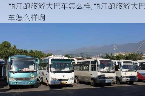 丽江跑旅游大巴车怎么样,丽江跑旅游大巴车怎么样啊-第1张图片-奥莱旅游网