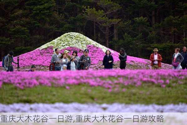 重庆大木花谷一日游,重庆大木花谷一日游攻略-第3张图片-奥莱旅游网