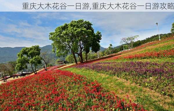 重庆大木花谷一日游,重庆大木花谷一日游攻略-第2张图片-奥莱旅游网