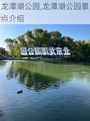 龙潭湖公园,龙潭湖公园景点介绍-第3张图片-奥莱旅游网