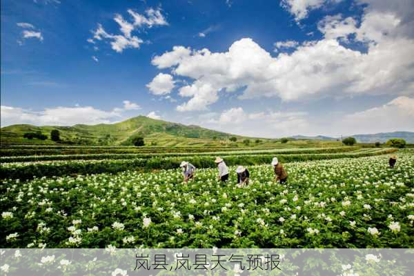 岚县,岚县天气预报-第2张图片-奥莱旅游网