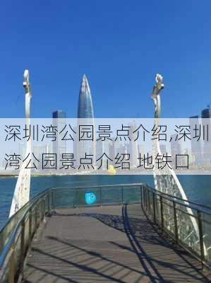 深圳湾公园景点介绍,深圳湾公园景点介绍 地铁口-第2张图片-奥莱旅游网