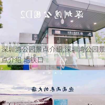 深圳湾公园景点介绍,深圳湾公园景点介绍 地铁口