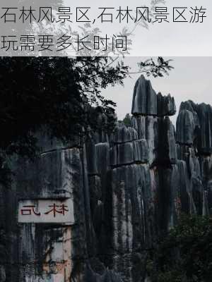 石林风景区,石林风景区游玩需要多长时间-第3张图片-奥莱旅游网