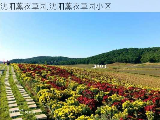 沈阳薰衣草园,沈阳薰衣草园小区-第3张图片-奥莱旅游网