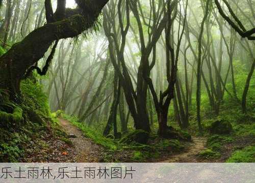 乐土雨林,乐土雨林图片-第3张图片-奥莱旅游网