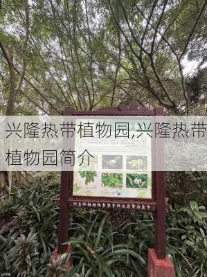 兴隆热带植物园,兴隆热带植物园简介-第1张图片-奥莱旅游网