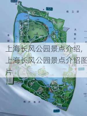 上海长风公园景点介绍,上海长风公园景点介绍图片-第1张图片-奥莱旅游网