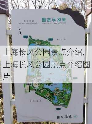 上海长风公园景点介绍,上海长风公园景点介绍图片-第2张图片-奥莱旅游网