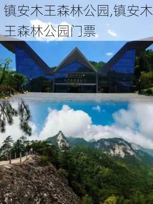 镇安木王森林公园,镇安木王森林公园门票-第3张图片-奥莱旅游网