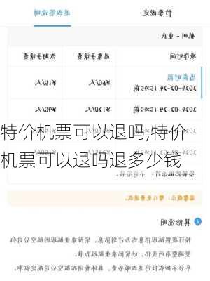 特价机票可以退吗,特价机票可以退吗退多少钱-第1张图片-奥莱旅游网