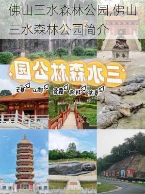 佛山三水森林公园,佛山三水森林公园简介-第1张图片-奥莱旅游网