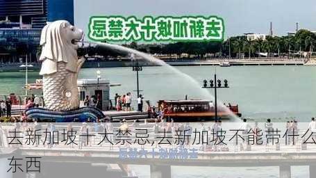 去新加坡十大禁忌,去新加坡不能带什么东西-第1张图片-奥莱旅游网